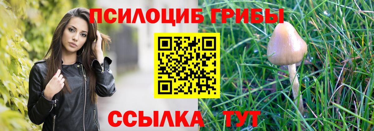 Псилоцибиновые грибы мицелий Архангельск